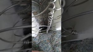 Ремонт лопнувших пружин в диване.