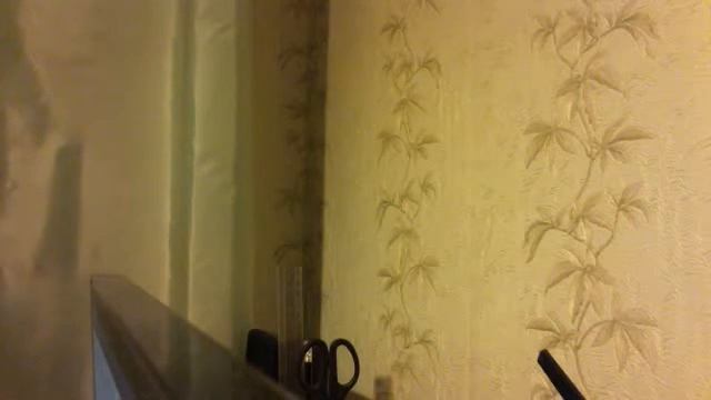 Видео c веб-камеры от 3 декабря 2015 г., 13:01 (UTC) смотреть онлайн