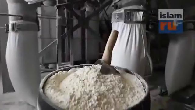 Хлеб и дрожжи опасно для человека. смотреть онлайн