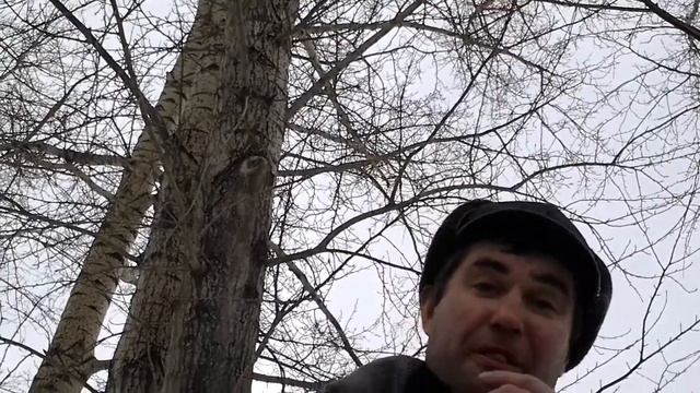 Колян ты че губы накрасил!!! смотреть онлайн