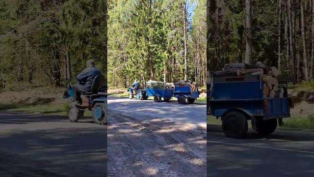 МОТОБЛОК МТЗ БЕЛАРУС, ЗАГОТОВКА ДРОВ #мотоблок #дрова #заготовкадров #2023 #обзор #прицеп #traktor смотреть онлайн