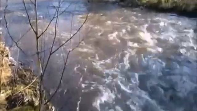 Steve Vai - Речка быстрая смотреть онлайн