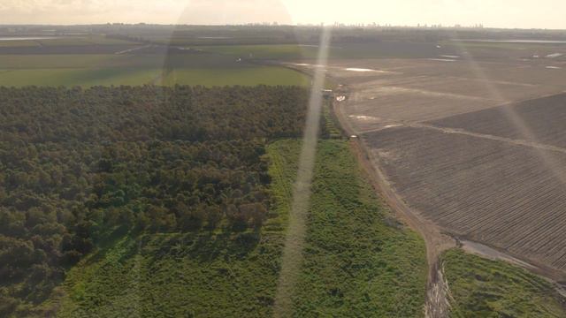 Ariel Bart - Nine Souls \ Harmonica смотреть онлайн