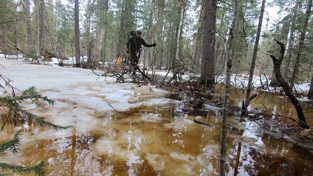 Привада на медведя. Проверка. смотреть онлайн