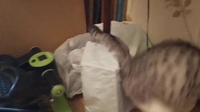 Торшер починим, колонки уроним (мастер за работой) смотреть онлайн