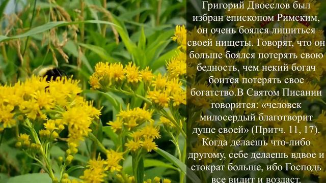Делайте больше добрых дел. Доброе дело дороже тысячи поклонов! смотреть онлайн