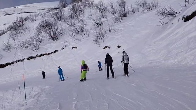 Роза. Эдельвейс. s.o.s 26.12.20 смотреть онлайн