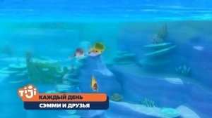 Сэмми и друзья на TiJi