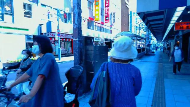 【Japanese Train】Solo Travel in Japan Tokyo-Shizuoka смотреть онлайн