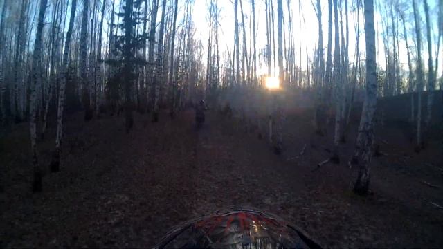 Плутаем по лесу на Irbis TTR 125 Rх2 + Racer stickerbombing 150