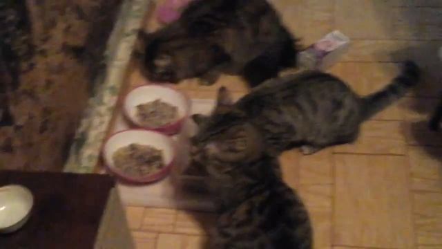 ЛЮБИМОМУ ЧЕЛОВЕКУ В ДЕНЬ ВЛЮБЛЕННЫХ . смотреть онлайн