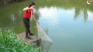 Harvesting a lot of FISH at the FARM - Suddenly meeting SNAKES on the Farm - Go to Market to Sell
