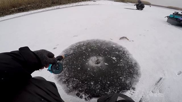 ЭКСТРИМАЛЬНЫЙ ПЕРВЫЙ ЛЕД.Карась,Судак Лещ и Окунь.Рыбалка на Балансир. смотреть онлайн