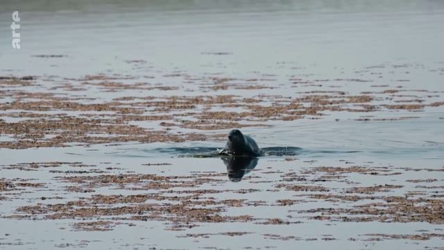 Love Rituals 6-6 Orcades - Arte 2019 смотреть онлайн