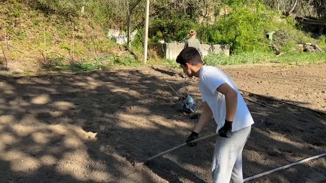 Planting and DESIGNING our VEGETABLE garden | Our Portugal Homestead rescue смотреть онлайн