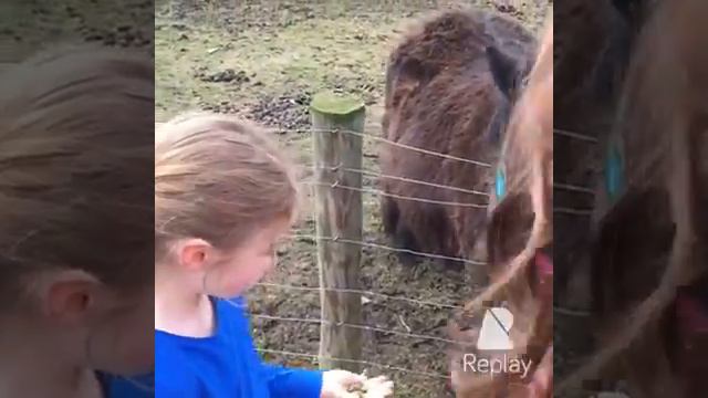 Poppy and Georgina Lawry смотреть онлайн