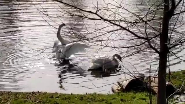 Весна в музее "Усадьба А.А. Фета" смотреть онлайн