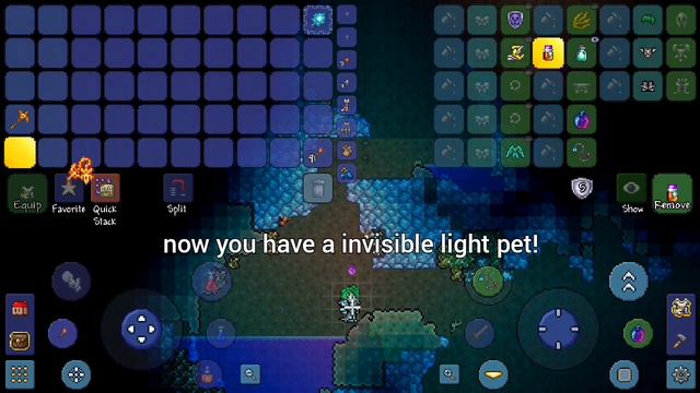 Make Wisp in a Bottle INVISIBLE |Terraria смотреть онлайн