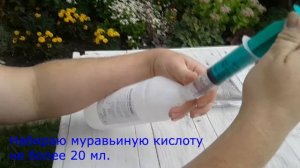 #4  Обрабатываю пчёл муравьиной кислотой против клещей