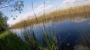 Щука  на поверхностные приманки.