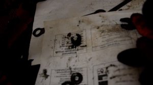 Правильная установка подшипников  переднего колеса велосипеда Украина