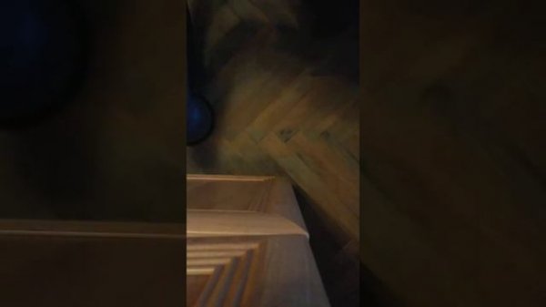 GRAPHITE 59G347 !!Шлифмашина Graphite 59G347. Шлифуем паркет орбиталкой Graphite.