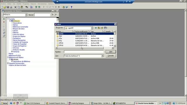 Oracle Designer - 08 Invocar un reporte desde el formulario смотреть онлайн