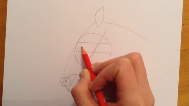 Beginners Lesson - How To Draw A Horse смотреть онлайн