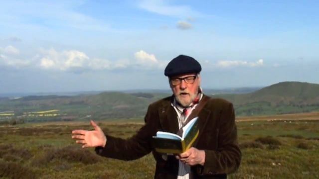 Herbaceous Phlox Spitfire by Paul Evans смотреть онлайн