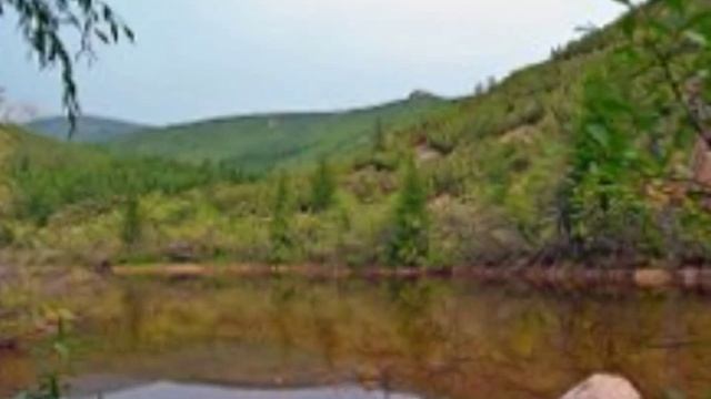 Небо на свете одно....