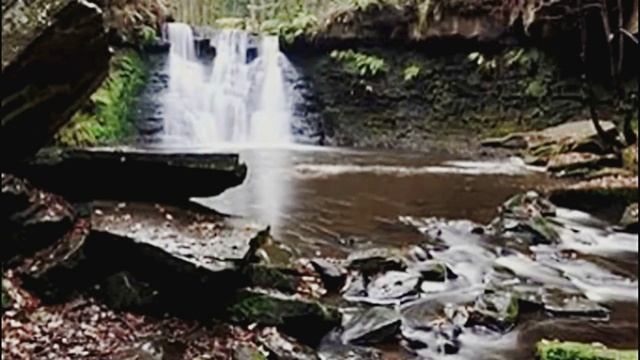 Лесной водопад для расслабления и сна. Пение Птиц. Релакс смотреть онлайн