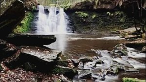 Лесной водопад для расслабления и сна. Пение Птиц. Релакс