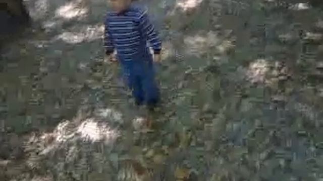 Богдан дерется с осликом и кормит белочек смотреть онлайн