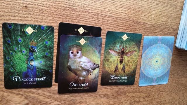 April 2020 General Oracle Card Reading : New Version смотреть онлайн