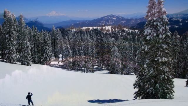 Фёдор что то готовит в своей кухне Бидон порвал карманы в штанах, а петрушка любит соду смотреть онлайн