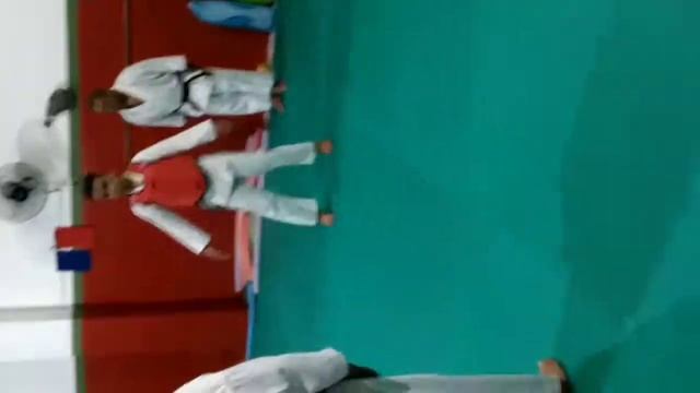 Karate  Treinamento De Comite Sou O Faça Vermelha