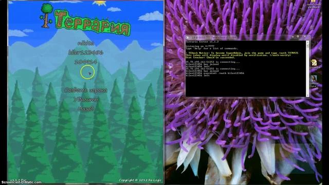 как создать свой сервер для terraria+админка смотреть онлайн