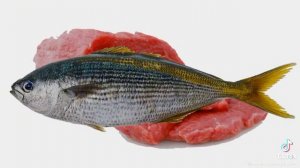 русалка это рыба или мясо