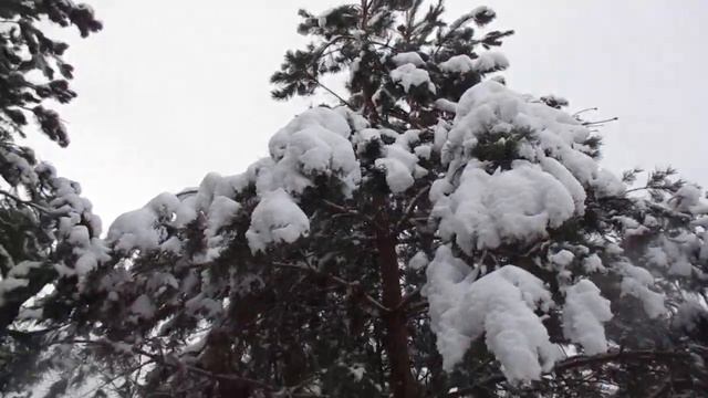 Дворовая песня 70-х годов. ''Любимая спи". Актуальна и в наше время. смотреть онлайн