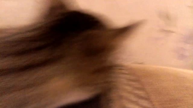 8 февраля 2017 г. смотреть онлайн