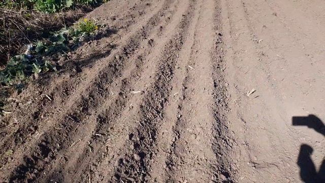 Посадил в огороде 7 культур!. Самообеспечение. смотреть онлайн