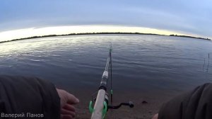 СТАНУ "ФИДЕРИСТОМ"! | Stinger Maestro Feeder NS