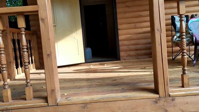 Пошла до Гали/отделка дома завершена/взяла цветы сентябрину... смотреть онлайн