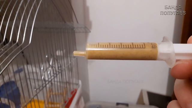 Смесь для вскармливания птенцов Kaytee. Птенцы подросли и готовы к переезду из гнездышка в клетку