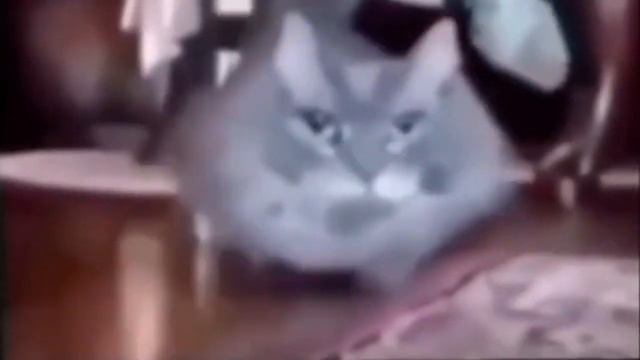 кит ты маму мав？ смотреть онлайн