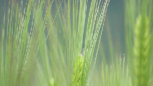 Топ-9 Простейших Бизнес идей в гараже! Бизнес идеи 2020! Бизнес идеи! смотреть онлайн