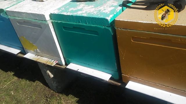 Облет пчел после зимовки смотреть онлайн