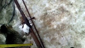 Как сделать сани для коня 1 часть