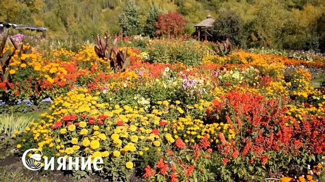 Цветы у дома  Парк в Новокузнецке