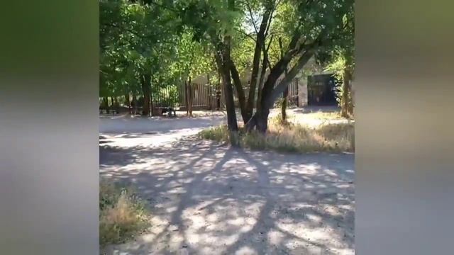 ставропольский край, Нефтекумский район, посёлок Затеречный.
